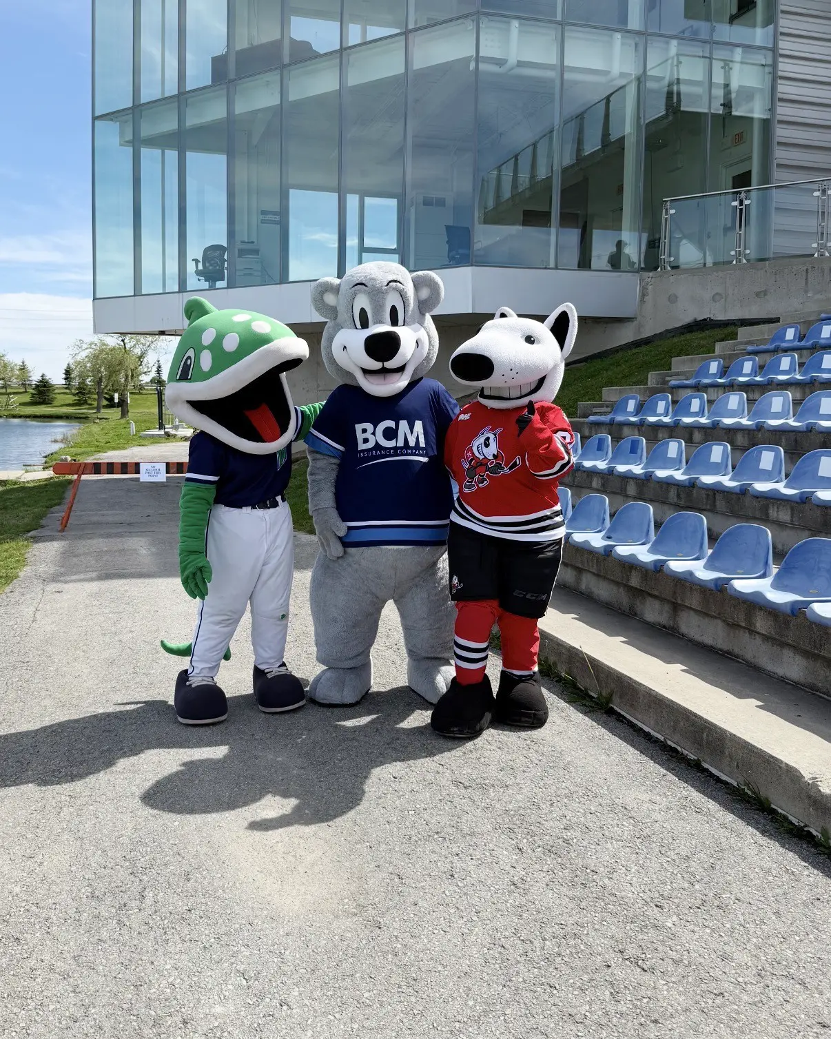 BCM mascot Bertie with baseball and hockey team mascots beside a grandstand